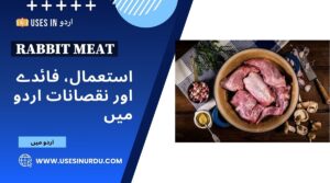 Rabbit Meat