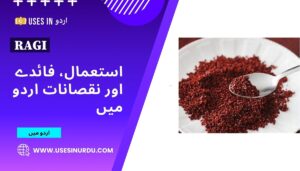 Ragi