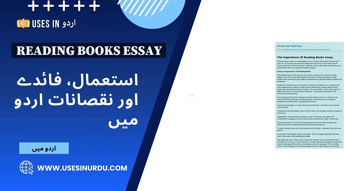 Reading Books Essay