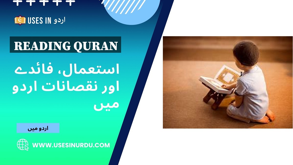 Reading Quran