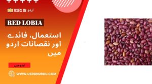 Red Lobia