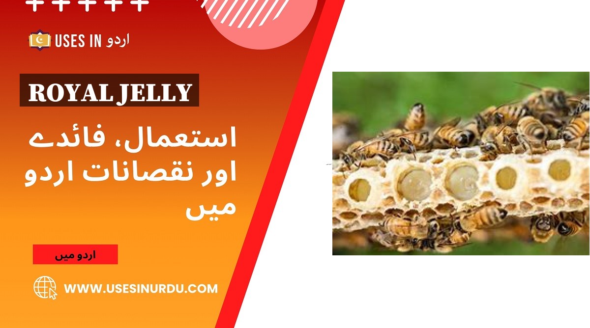 Royal Jelly