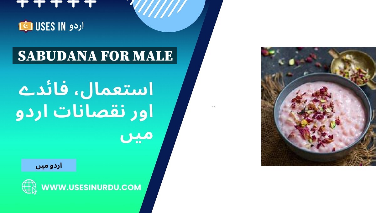 Sabudana for Male