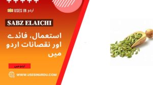 Sabz Elaichi