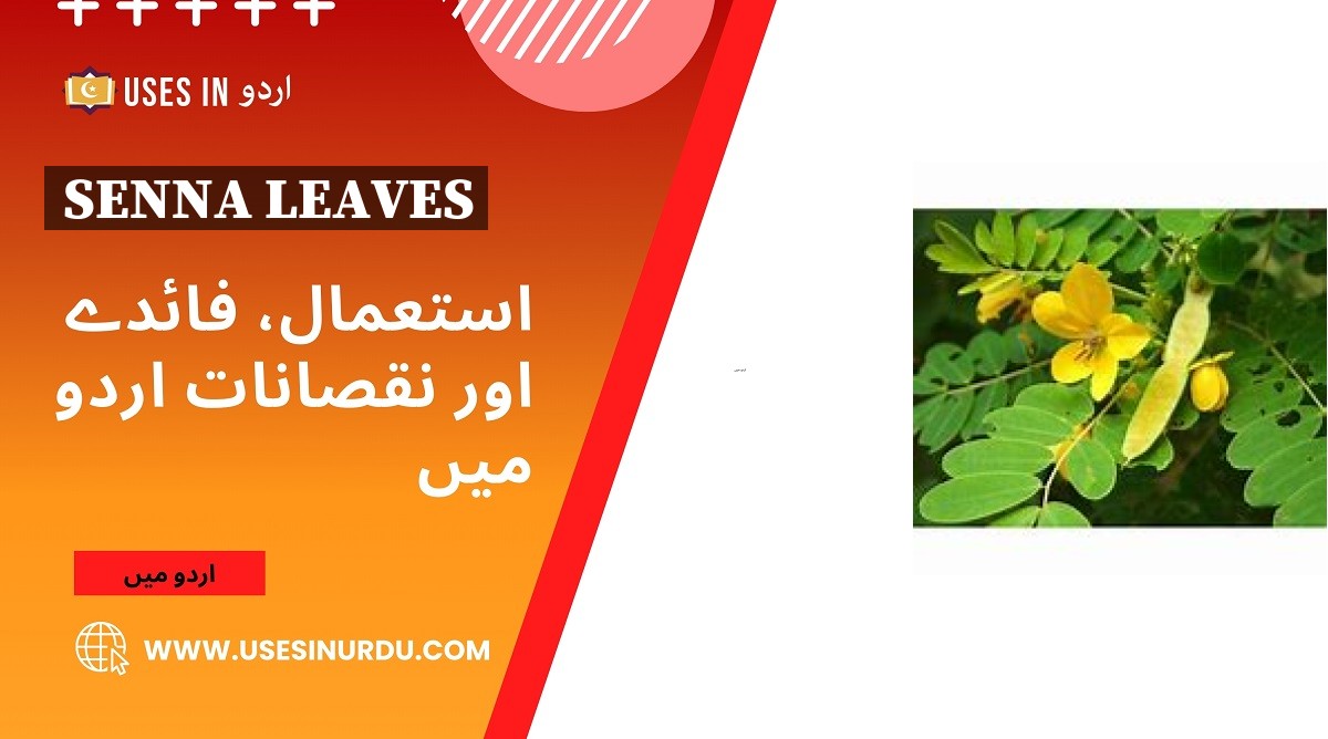 Senna Leaves