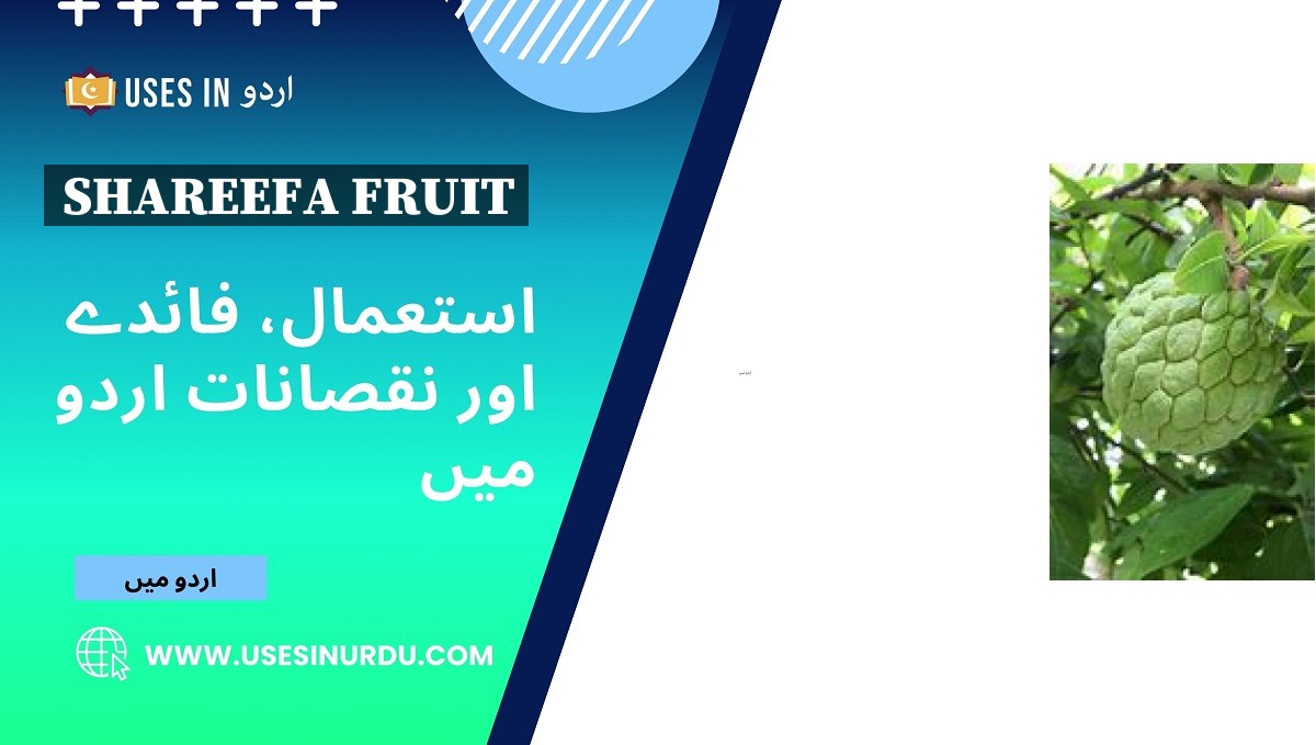 Shareefa Fruit