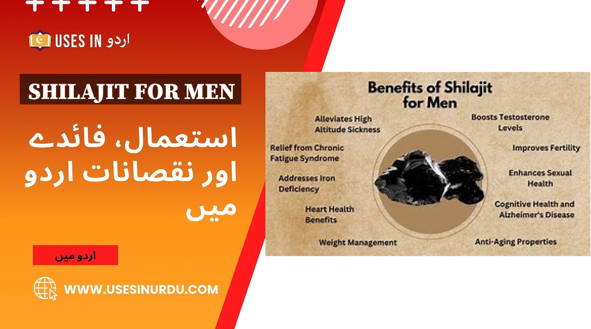 Shilajit for Men