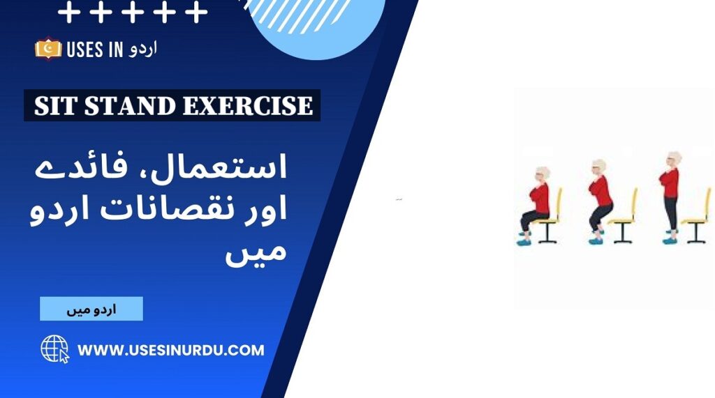 Sit Stand Exercise