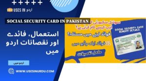 Social Security Card in Pakistan