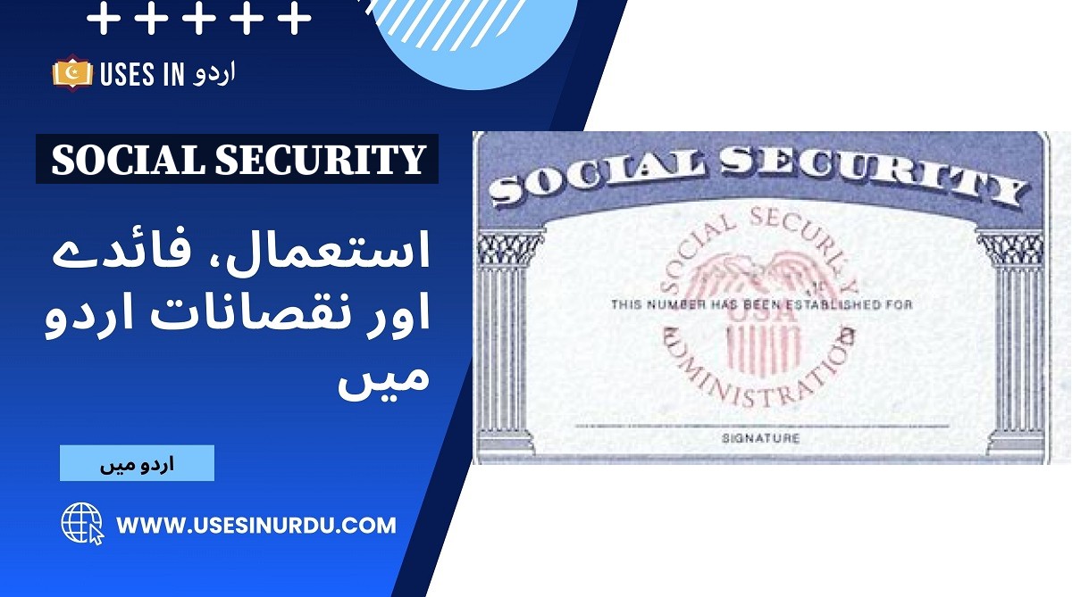 Social Security