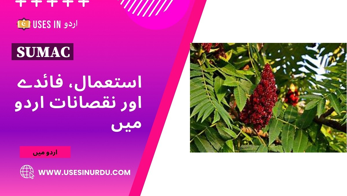 Sumac