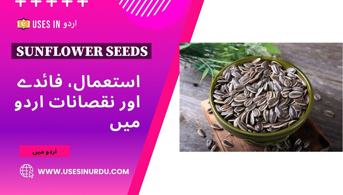 Sunflower Seeds