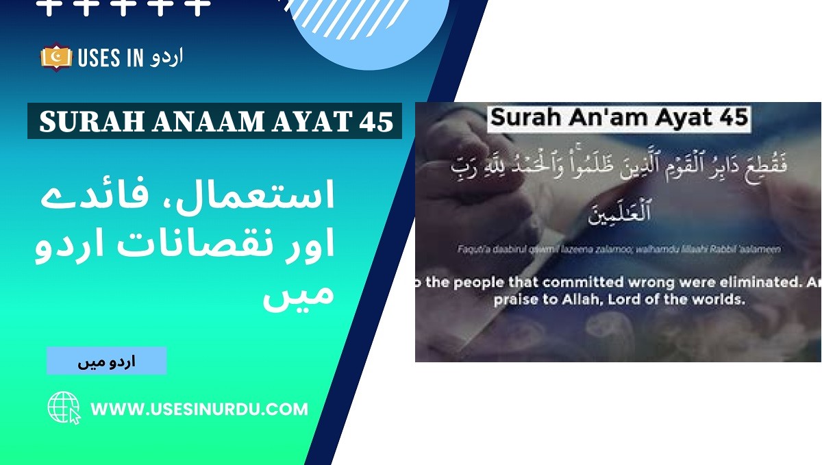 Surah Anaam Ayat 45