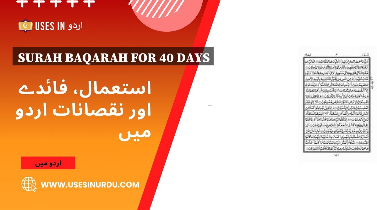 Surah Baqarah for 40 Days