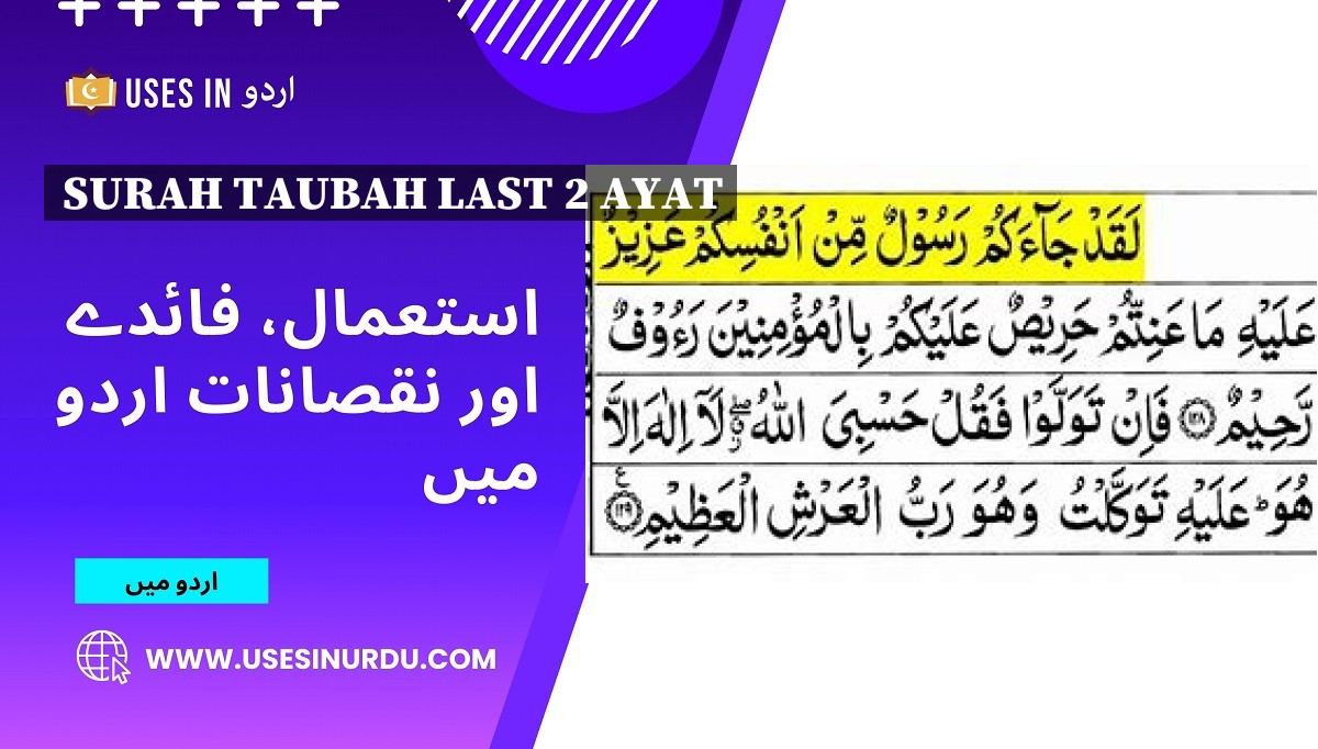 Surah Taubah Last 2 Ayat