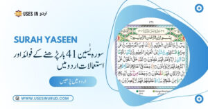 Surah Yaseen 41 Times Uses and Benefits in Urdu