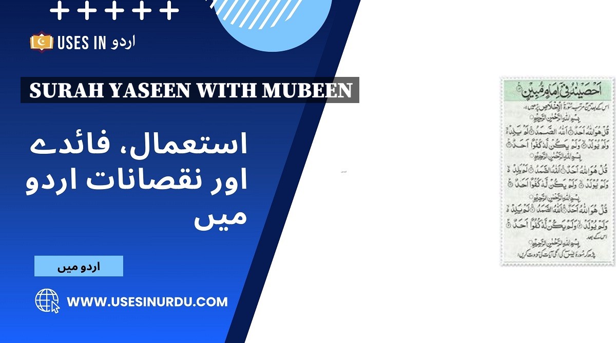 Surah Yaseen with Mubeen