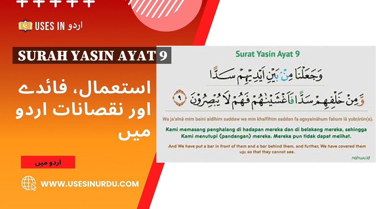 Surah Yasin Ayat 9