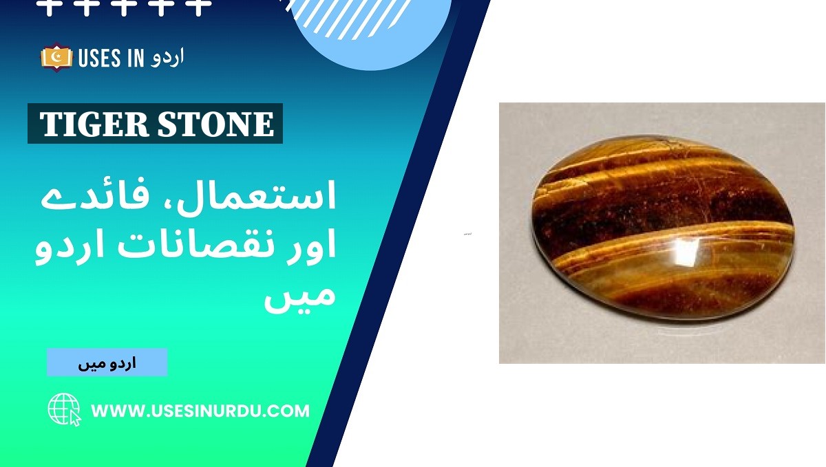 Tiger Stone