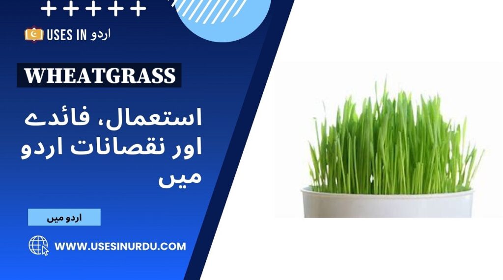 Wheatgrass