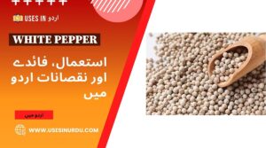 White Pepper