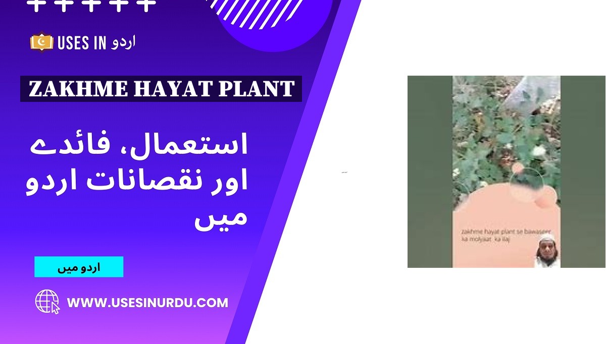 Zakhme Hayat Plant