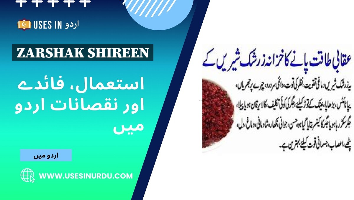 Zarshak Shireen