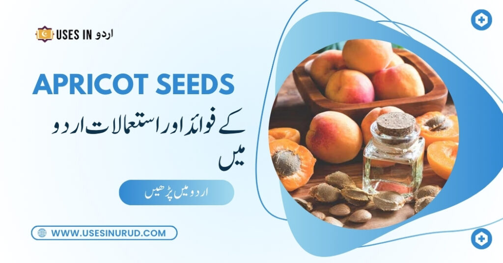 apricot seeds