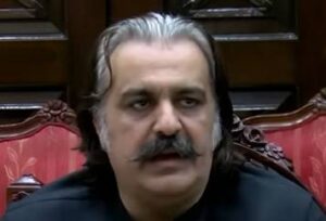 گھر بیٹھ کر تنقید کرنے والوں کو تحریک انصاف کا نہیں سمجھتا: علی امین گنڈاپور