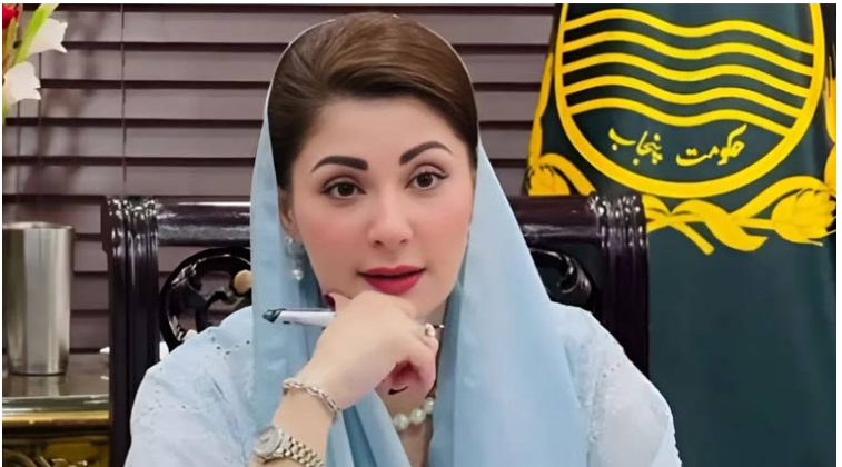 وزیراعلیٰ پنجاب کا ٹماٹر اور پیاز کی کاشت میں اضافے کیلئے میکانائزڈ فارمنگ کا اعلان