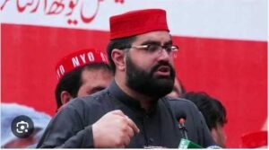 مدارس بل پر مولانا فضل الرحمٰن کے ساتھ ہاتھ ہوگیا: ایمل ولی خان