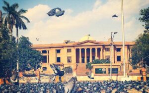 این اے 241 مبینہ دھاندلی کیس، الیکشن کمیشن و دیگر سے دلائل طلب