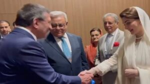 مریم نواز کی نائب صدر ترکیہ سے ملاقات، معاشی شراکت داری کے فروغ پر اتفاق