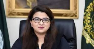 حکومت نے آئی ٹی کے مختلف شعبوں میں بڑے منصوبوں کا اعلان کردیا