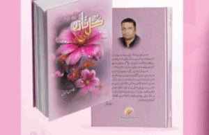 عالمی حلقہء فکر و فن کے زیرِ اہتمام سعودی عرب اور امریکہ میں تقریبات