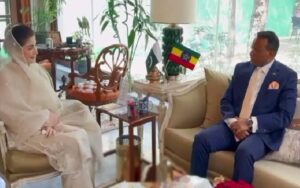 مریم نواز سے ایتھوپیا کے سفیر کی ملاقات، تعلقات مضبوط بنانے پر زور