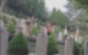 تدفین کے وقت مردہ خاتون زندہ ہو گئیں، قبرستان میں موجود لوگ خوفزدہ، ادھر ادھر بھاگنے لگے