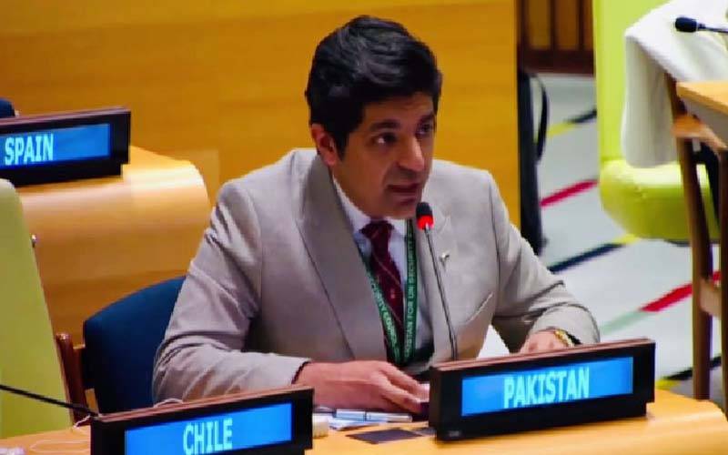 علاقائی حریف کی سرپرستی میں دہشت گردی کا سامنا ہے: پاکستانی قونصلر کا اقوام متحدہ میں خطاب