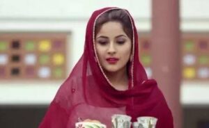 خوابوں کی تکمیل کیلئے گھر چھوڑ کر بھاگی تھی: شہناز گل