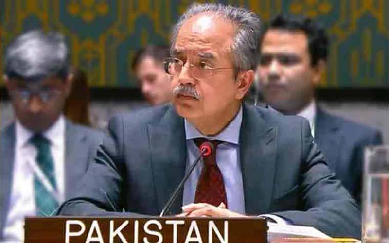 پاکستان پاک بھارت کشیدگی کے بعد عالمی سطح پر متحرک ہے: عاصم افتخار