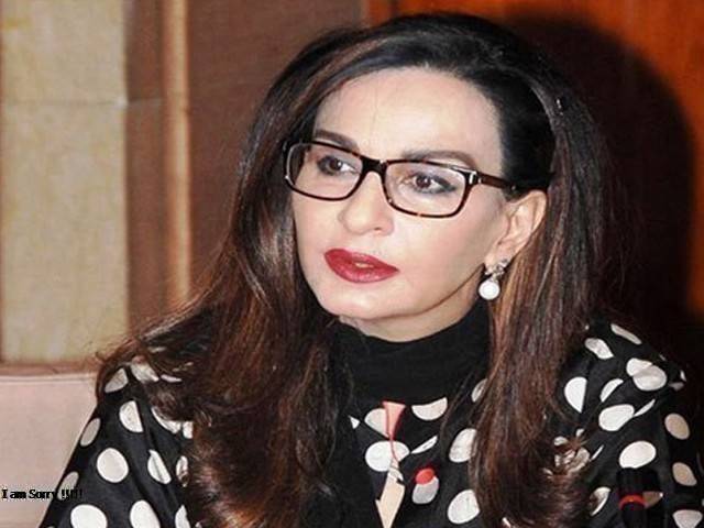 بھارت کی جانب سے بلاول بھٹو کا سوشل میڈیا اکاؤنٹ بلاک کرنے پر شیری رحمٰن کا رد عمل آ گیا