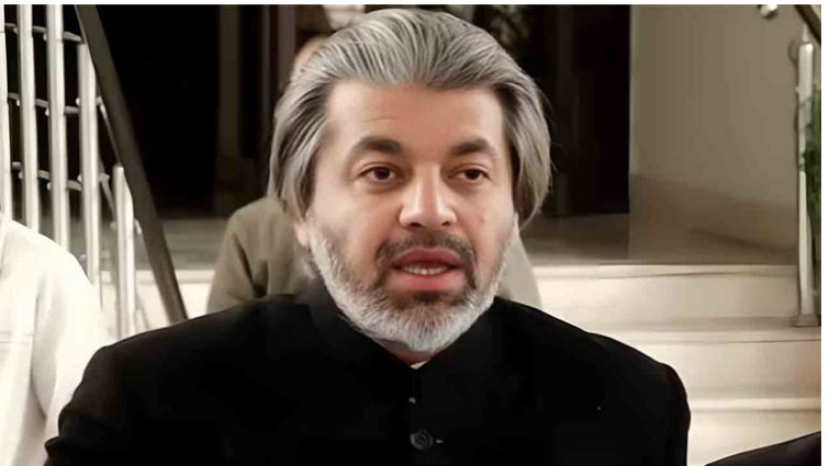 مسلم لیگ ن کے ایکس پیغام پر علی محمد خان کا جواب، بھارت کے خلاف قوم متحد