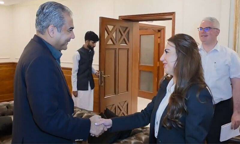 محسن نقوی سے امریکہ کی قائم مقام سفیر کی ملاقات، بھارتی حملے کے بعد کی صورتحال پر تبادلہ خیال