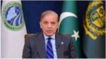 پاکستان اور بھارت نے سیز فائر کا فیصلہ کر لیا: وزیر اعظم شہباز شریف