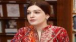 جب تک کشمیر کا مسئلہ حل نہیں ہوتا مودی جارحیت دہراتا رہے گا: مشعال ملک