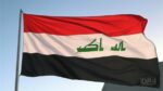عراق میں پالتو شیرنے اپنے مالک کو مار ڈالا