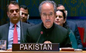 بھارت کشمیریوں کی جدوجہد حق خودارادیت کو کچلنا چاہتا ہے، عاصم افتخار