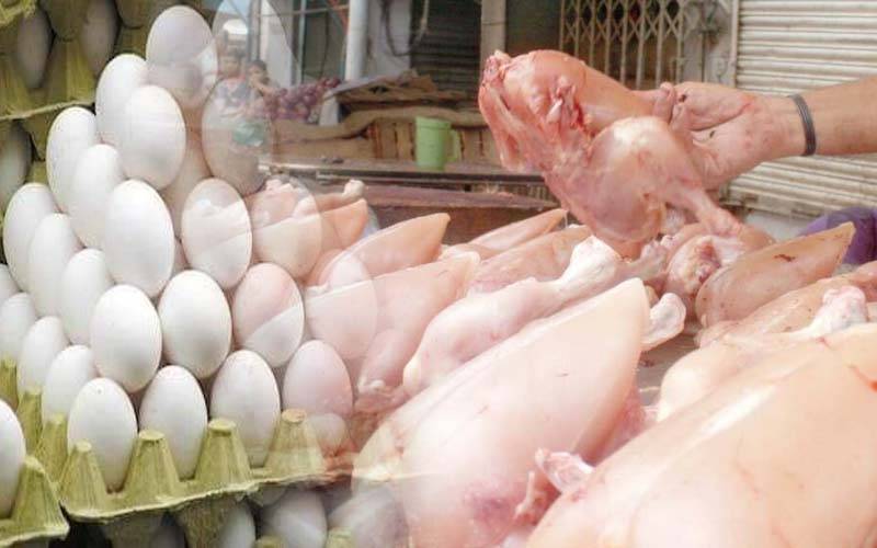 انڈے 60 روپے فی درجن مہنگے، مرغی کا گوشت 970 روپے فی کلو ہو گیا