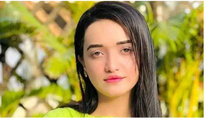 ریاستی اداروں کے خلاف پوسٹ شیئر کرنے کے مقدمہ، صنم جاوید کی درخواست ضمانت خارج