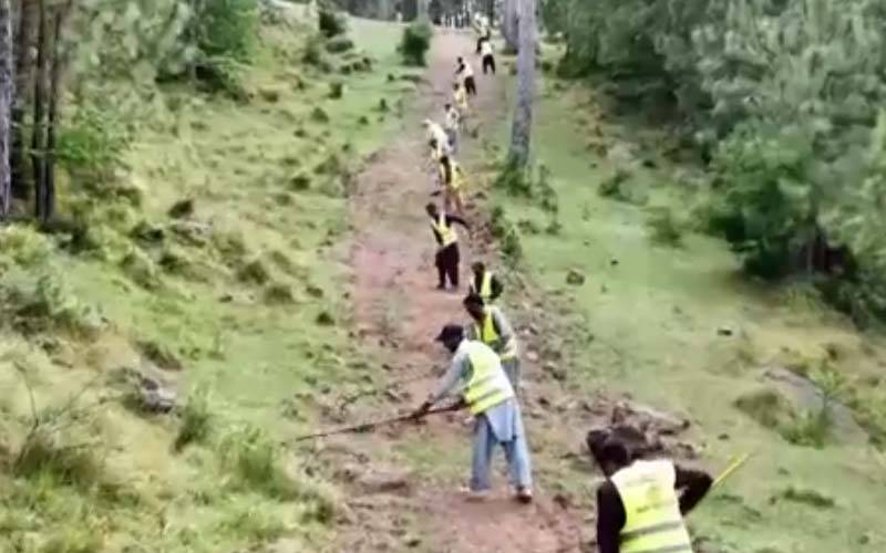 پنجاب؛ یومیہ اجرت پر جنگلوں میں کام کرنے والے مزدوروں کی ادائیگی کے لیے جدید نظام متعارف